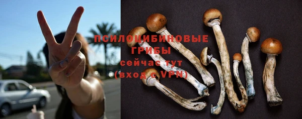 спиды Алексин