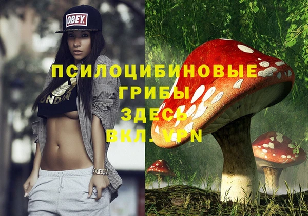 каннабис Алзамай