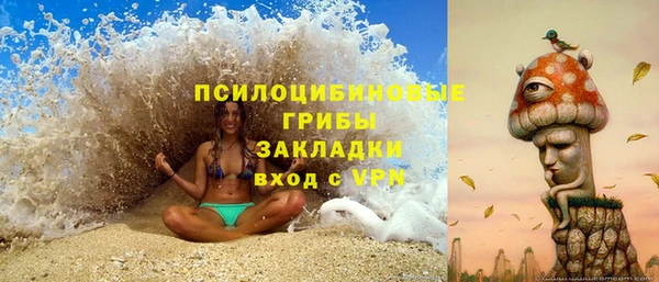 спиды Алексин