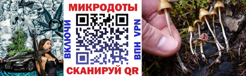 Псилоцибиновые грибы GOLDEN TEACHER  Невьянск 